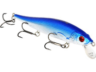 Glänzende Sardine
