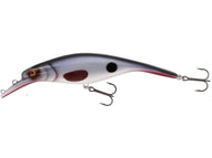 STAMPED ROACH 6 1/4