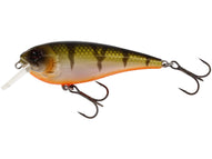 BLING PERCH 2 3/4