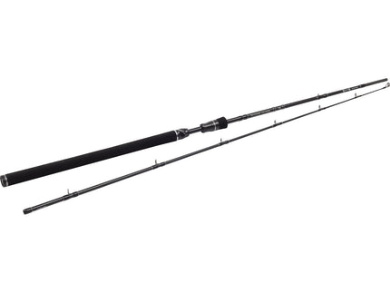 Westin W3 Jerkbait-T 6'6