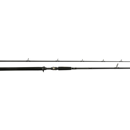 Westin W3 Powercast-T 2Nd 8'3" 248 cm  2 sec XH 20-80 g