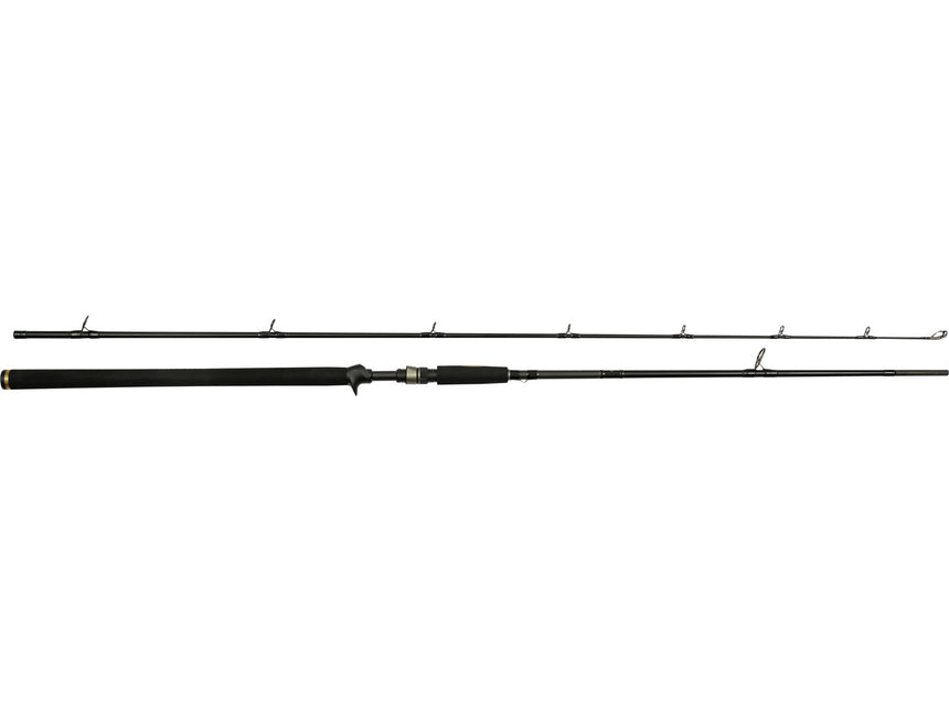 Westin W3 Powercast-T 2Nd 8'3" 248 cm  2 sec XH 20-80 g