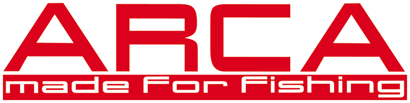 Arca logo