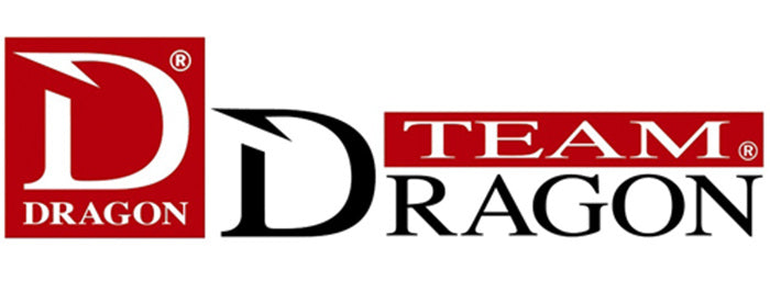 Dragon logo