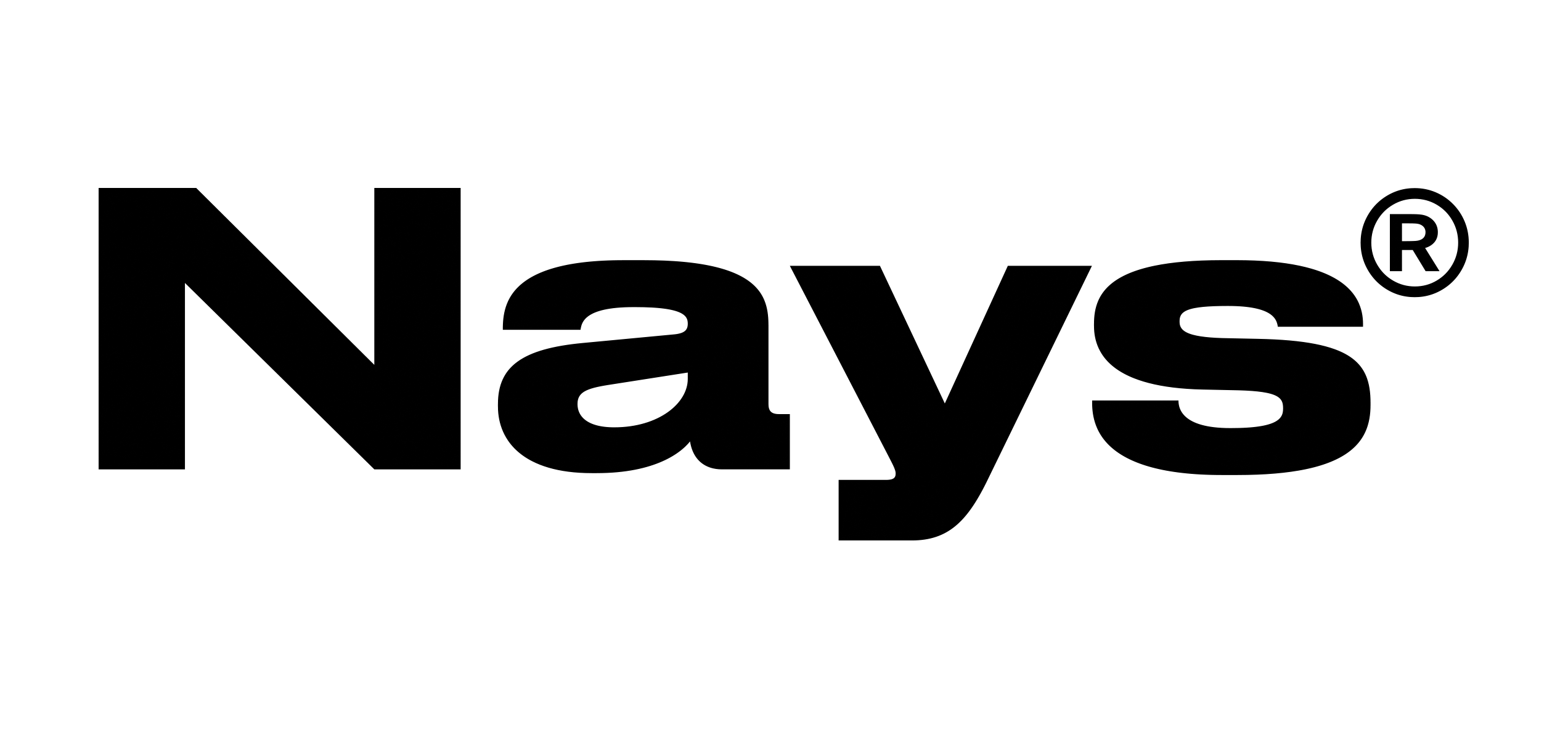 Nays logo3